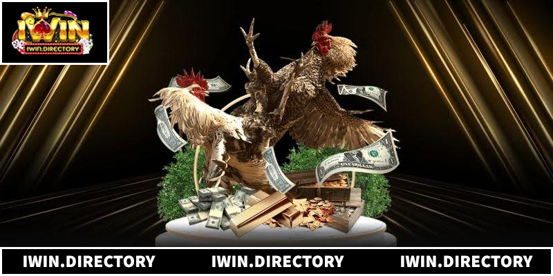 Khám Phá Sảnh Đá Gà Iwin Trực Tiếp Chất Lượng 4K